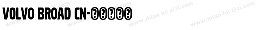 Volvo Broad CN字体转换